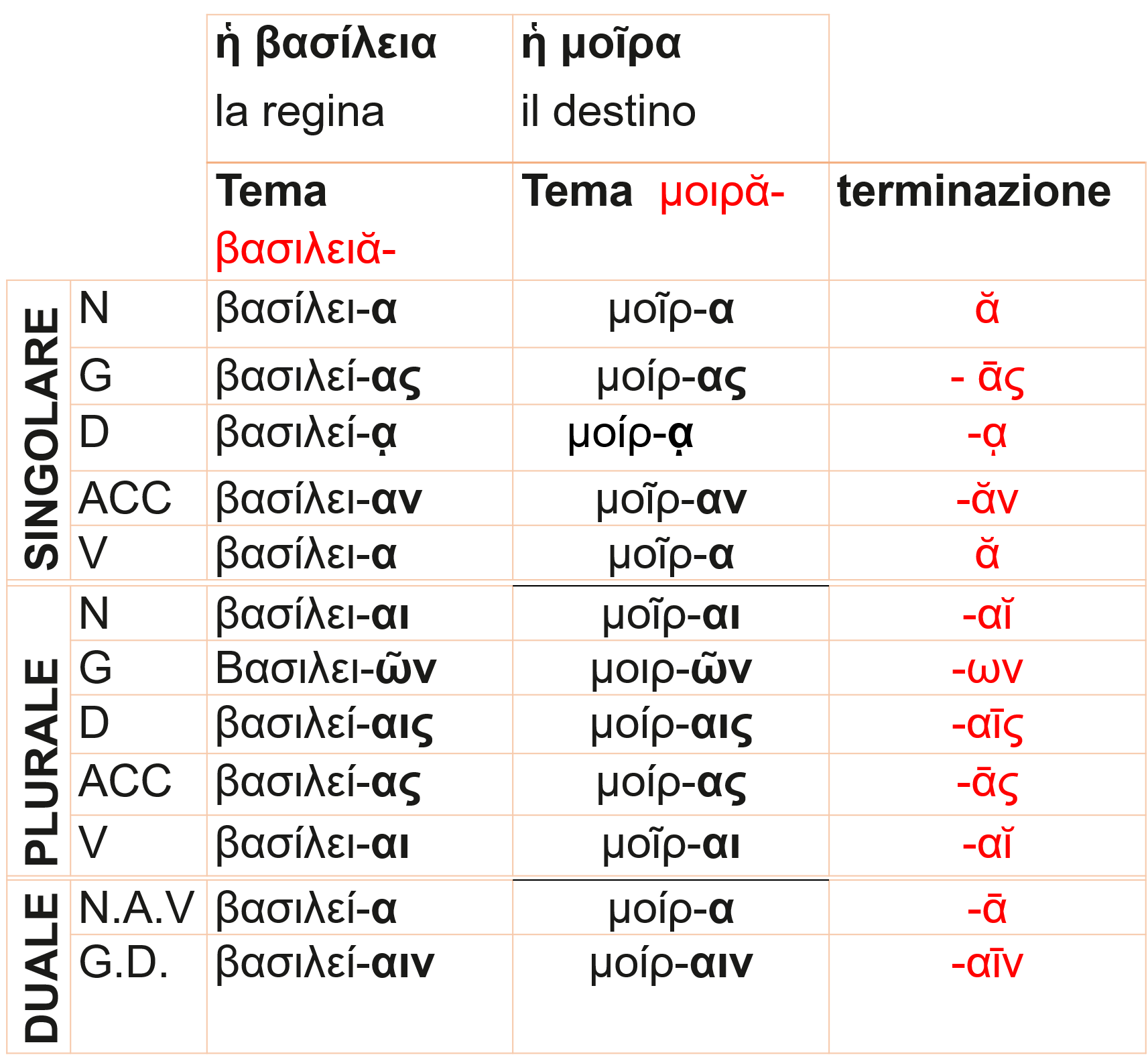 schema-formazione-verbi-greci-fare-di-una-mosca